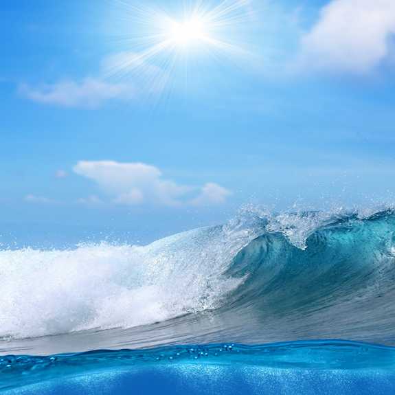 yl23411ÓÀÀû(Öйú)ÓÐÏÞ¹«Ë¾¹ÙÍø