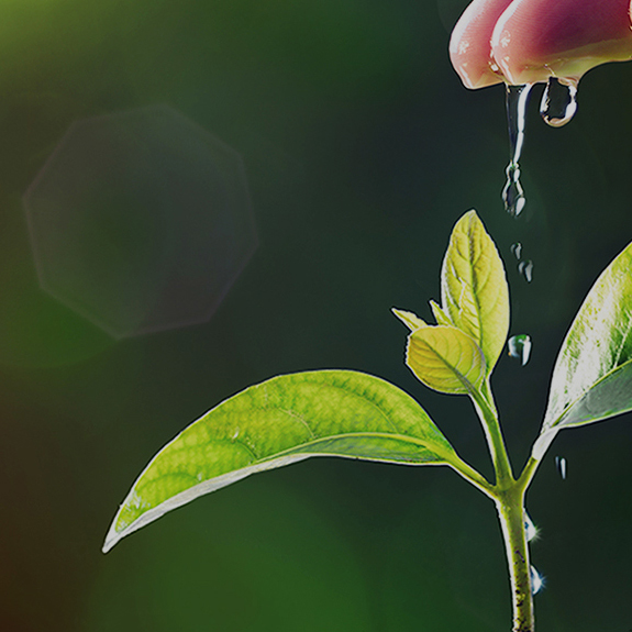 yl23411ÓÀÀû(Öйú)ÓÐÏÞ¹«Ë¾¹ÙÍø